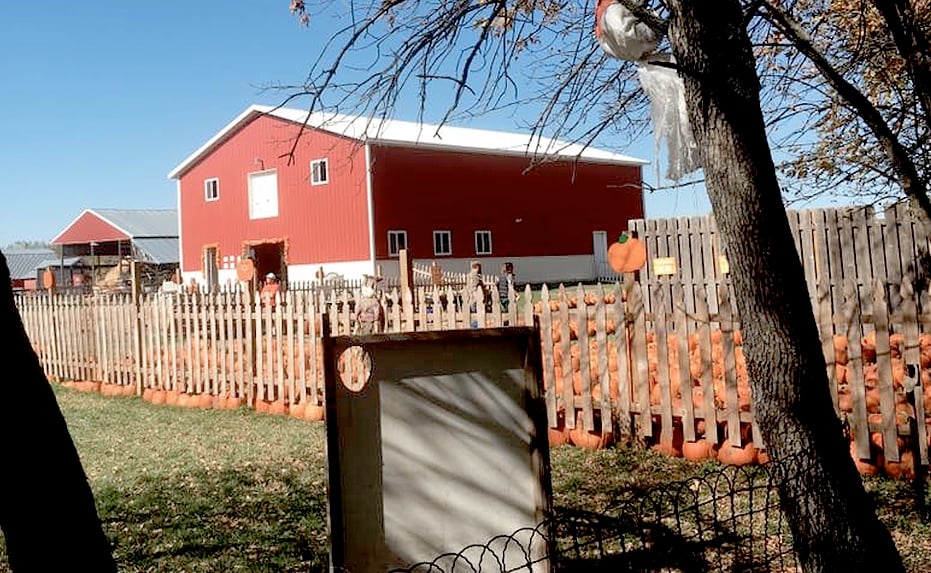 Lil' Bitz Pumpkin Patch 1